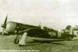 worldwar2.ro Stinghe