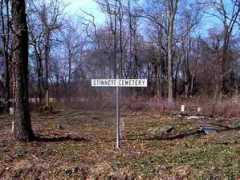 rootsweb.ancestry.com Stinnett
