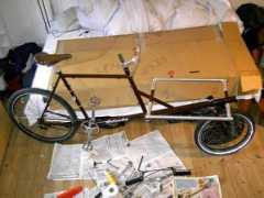 cyclofiend.com Stinus
