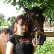 Stivi
