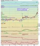 thestockmarketwizard.com Stiz