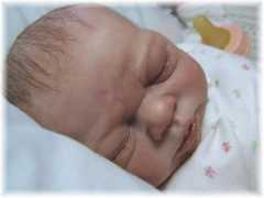 hunnybunsnursery.com Stoete