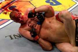 mmaconvert.com Stojnic