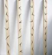 dezeen.com Stolarski