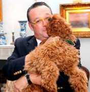 kentshilllabradoodles.com Stolman