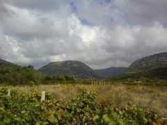 Stona