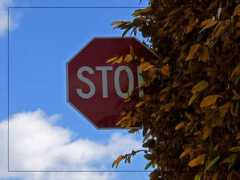 pneyman.com Stopit