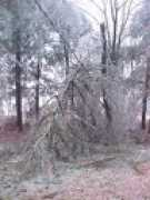 home.earthlink.net Stormm