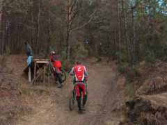 dolekop.com Strannik