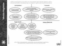 lith.liu.se Strategi