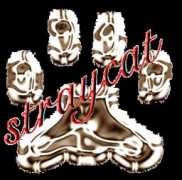 Straycat