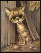 Straycat