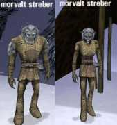 Streber