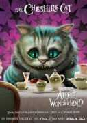 cineblog.it Stregatto