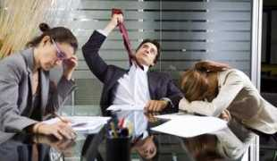 rokada-horeca.ru Stressy