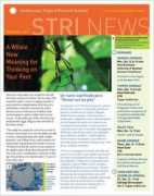 Stri