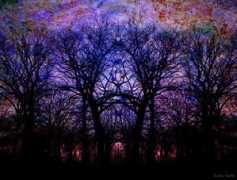 artwanted.com Stribor
