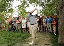 funscrape.com Stricker