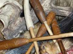 critterbustercalls.com Strickers