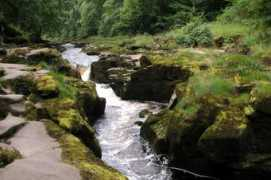 Strid