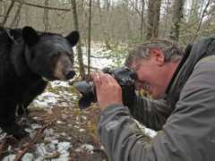 bear.org Stroner