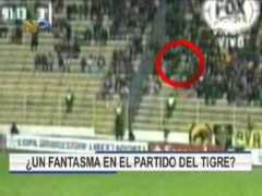 article.wn.com Stronges