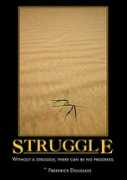 Struggle