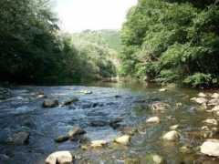 panoramio.com Struma