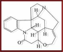 the-piedpiper.co.uk Strychnine