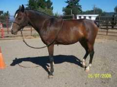 Stryder