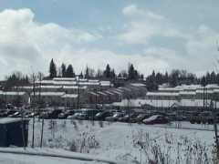 Studen