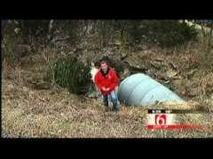 article.wn.com Stupidass