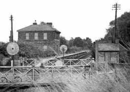Sturmer