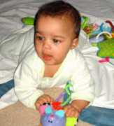 adoptcasi.org Stweart