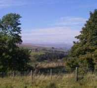 ashgill.info Styne