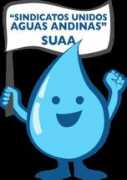 elciudadano.cl Suaa