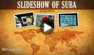 Suba