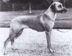 southernridgebacks.co.uk Subena