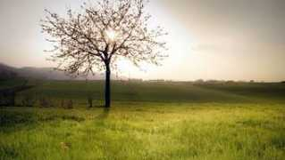 environment.nationalgeographic.com Subhedar