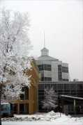stcloudstate.edu Subigya