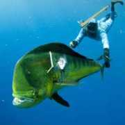 artesdepesca.com Submarina