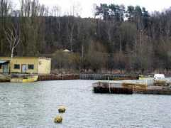 zalewwislany.pl Suchacz