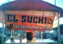 Suchi