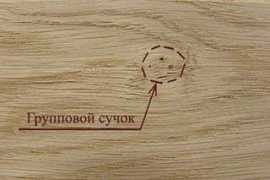 les.novosibdom.ru Suchok