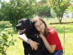 mkkzbehy.websnadno.cz Suchova