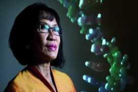 antaranews.com Sudoyo