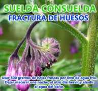 Suelda