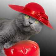 miciny.cz Suelin