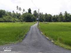 fotothing.com Suhaily