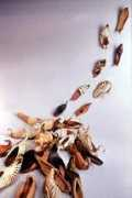 Suhandan